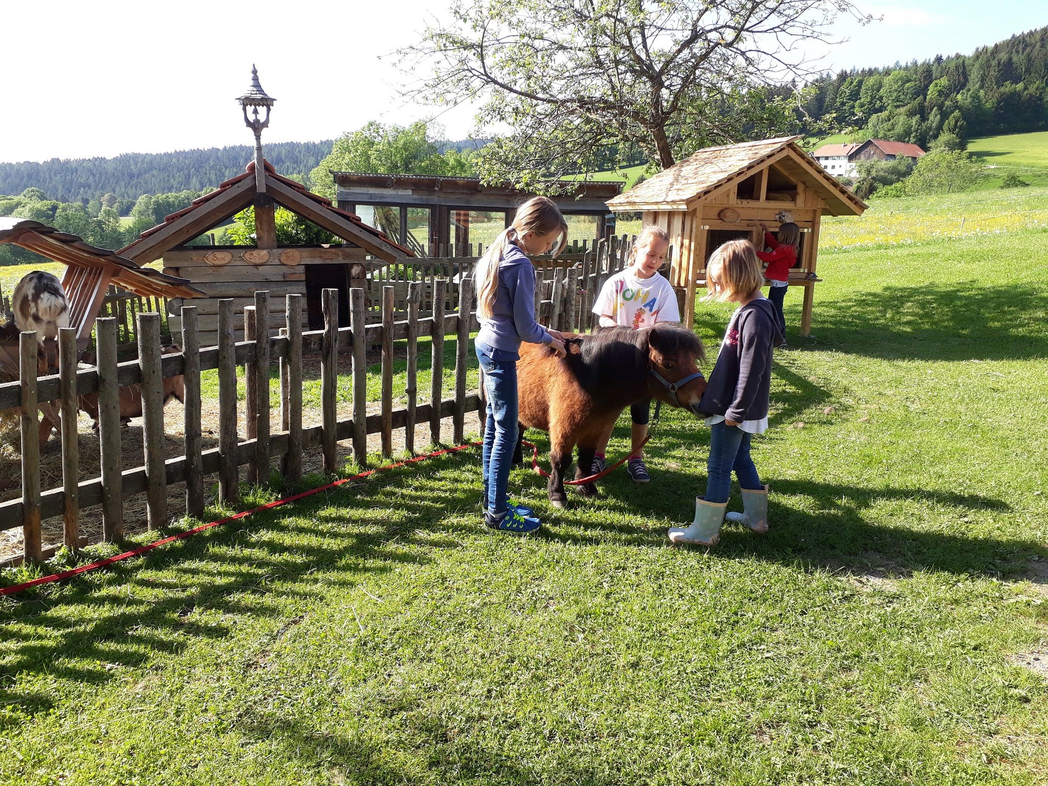 Kinder streicheln ein Pony auf einer Wiese neben einem Holzzaun und kleinen Gebäuden.