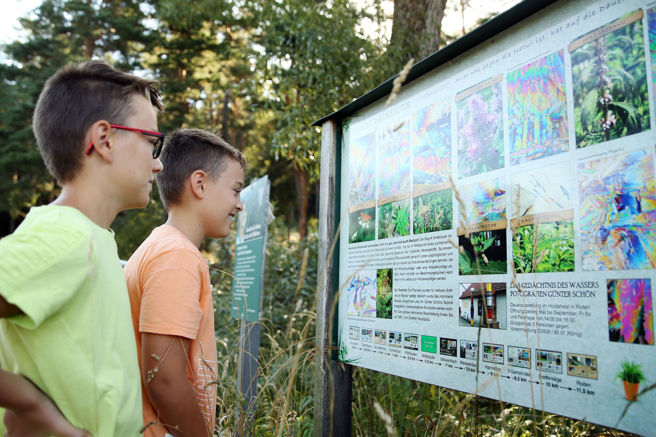 Zwei Jungen betrachten eine Informationstafel über Pflanzen in einem Waldgebiet.