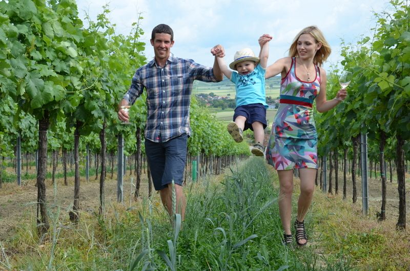Eine Familie spaziert fröhlich durch einen Weinberg, die Eltern halten ihr Kind an den Händen.