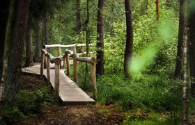Naturpark Heidenreichsteiner Moor, &copy; Waldviertel Tourismus, weinfranz