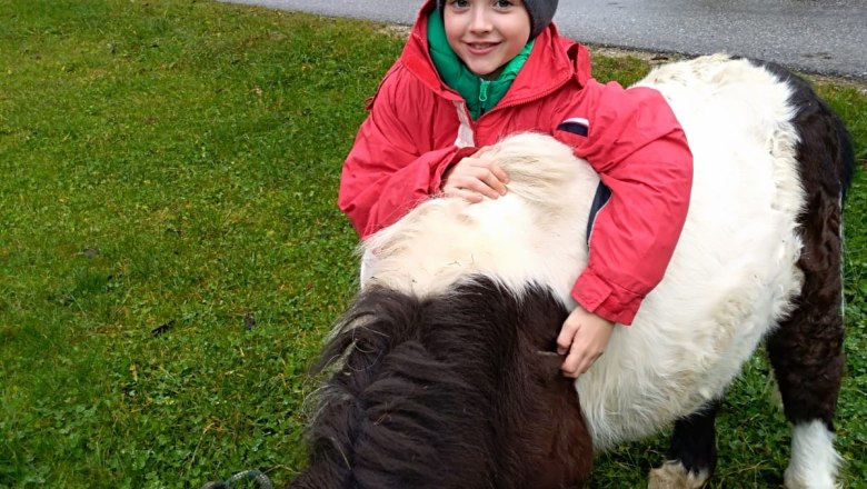 Pferd, &copy; Gabriele Danner