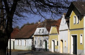 Kellergasse Nappersdorf, © Weinviertel Tourismus / Mandl