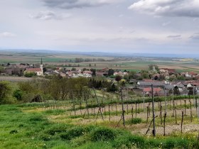 Weingarten-Runde, &copy; Gemeinde Ru&szlig;bach