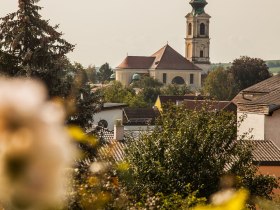 In der sanften H&uuml;gellandschaft bl&uuml;hen die Rosen in voller Pracht und umrahmen die malerische Kirche, die stolz &uuml;ber das Dorf wacht. Die goldenen Strahlen der Sonne tauchen die Szenerie in ein warmes Licht und laden dazu ein, die Sch&ouml;nheit der Natur zu genie&szlig;en.