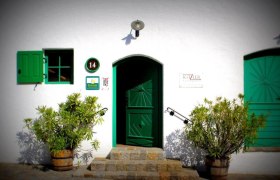 Eingang eines Heurigen mit grüner Tür und Fensterläden, umgeben von Pflanzen in Holzfässern.