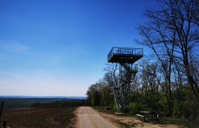 Aussichtsturm Heidbergwarte in Alberndorf neben einem Weg mit Bäumen und einem Fahrrad.