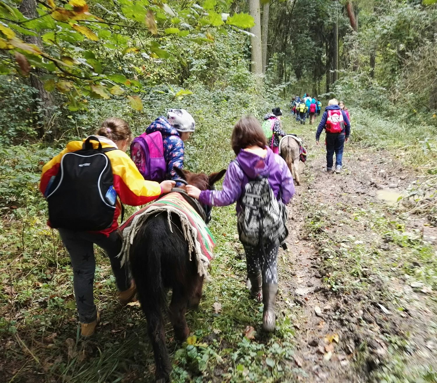 Kinder mit Rucksäcken führen Ponys durch einen Waldweg.