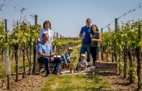 Weinbau Maier, &copy; Weinbau Maier