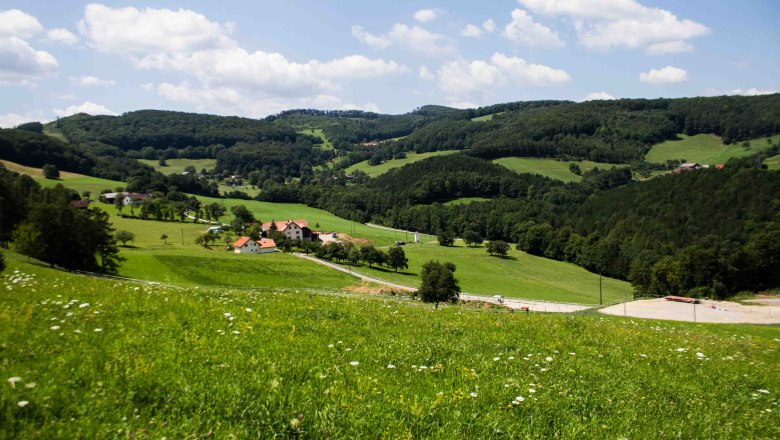 Wald und Wiese im Gutental, © Waldhof Grasel