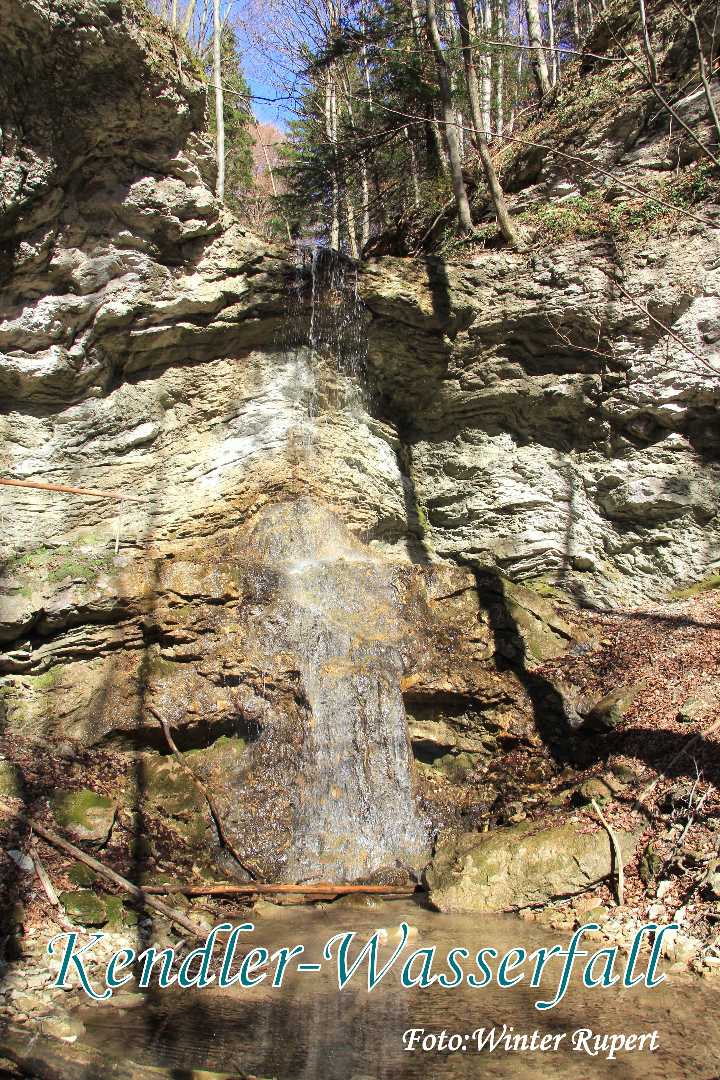 Ein kleiner Wasserfall fließt über eine Felswand in einem bewaldeten Gebiet.