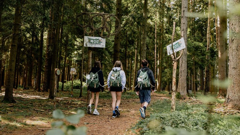 Drei Jugendliche wandern auf einem Waldweg mit Rucks&auml;cken, umgeben von hohen B&auml;umen und Schildern mit der Aufschrift 'Wald' und '&Ouml;kopfad'.