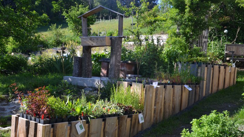 Ein Naturgarten mit Holzbeeten und Pflanzen in einem sonnigen, gr&uuml;nen Umfeld.
