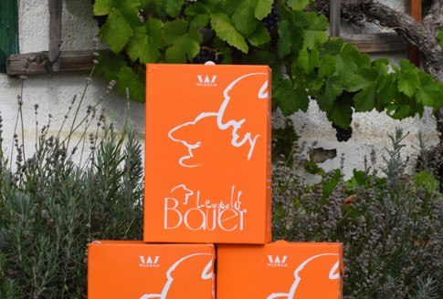 Weinbau Leopold Bauer, &copy; Bauer Leopold