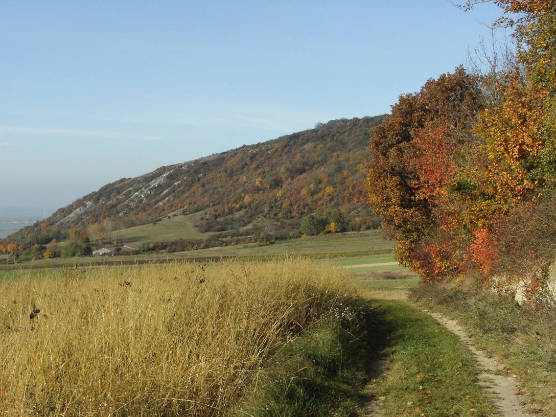 Hundsheimer Berge
