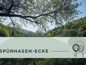 Sp&uuml;rnasenrunden Heiligenkreuz, &copy; Wienerwald Tourismus GmbH / Andreas Hofer