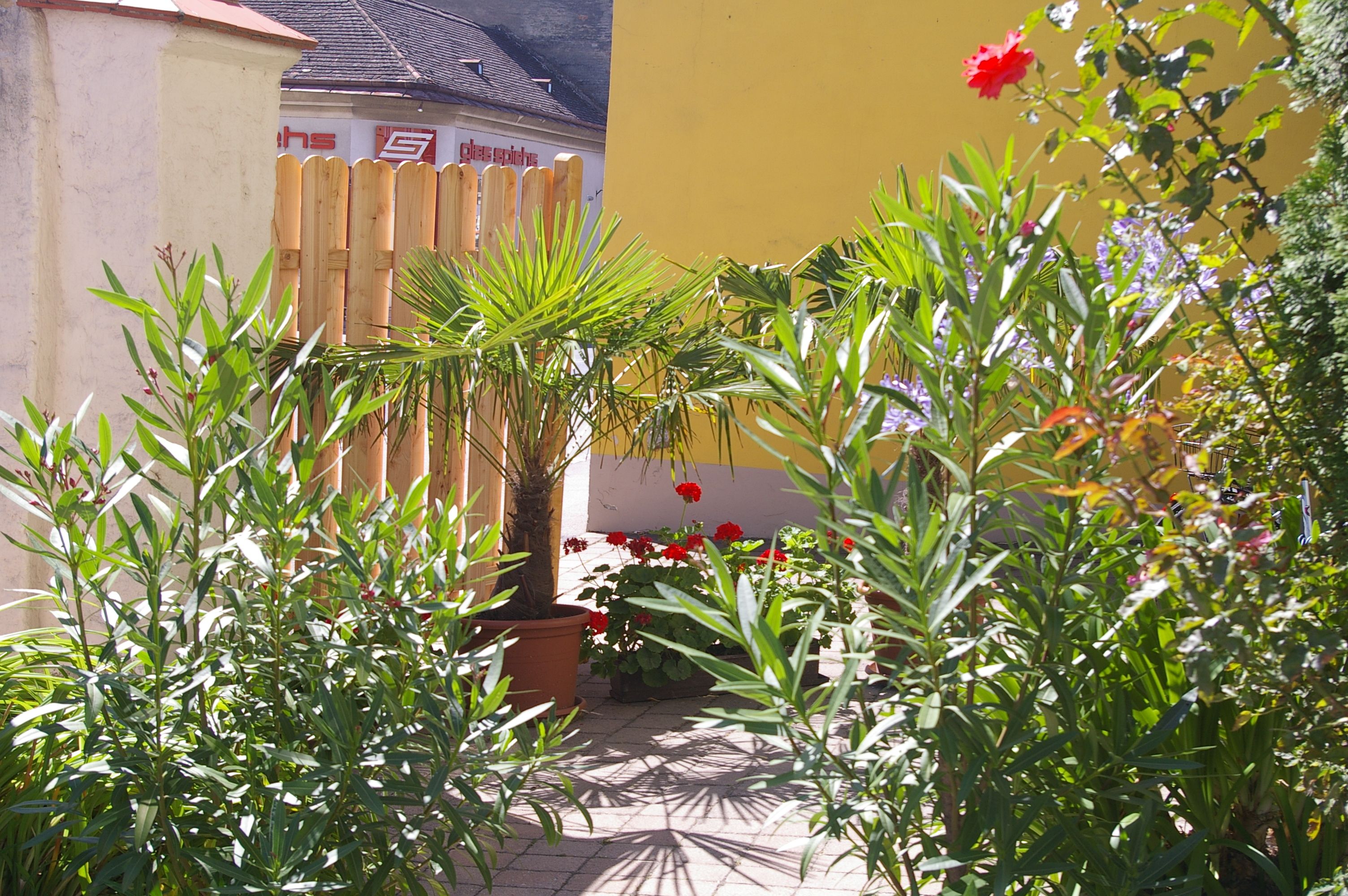Ein kleiner Garten mit Palmen, Oleander und bunten Blumen vor einem gelben Gebäude.