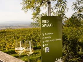 Inmitten der sanften H&uuml;gel erstrecken sich die Weinreben, die im warmen Licht des Fr&uuml;hlings erbl&uuml;hen. Zwei Gl&auml;ser mit goldenem Wein stehen bereit, um den Genuss der Region zu feiern. Die Aussicht auf die weitl&auml;ufigen Weinlandschaften verspricht unvergessliche Momente.