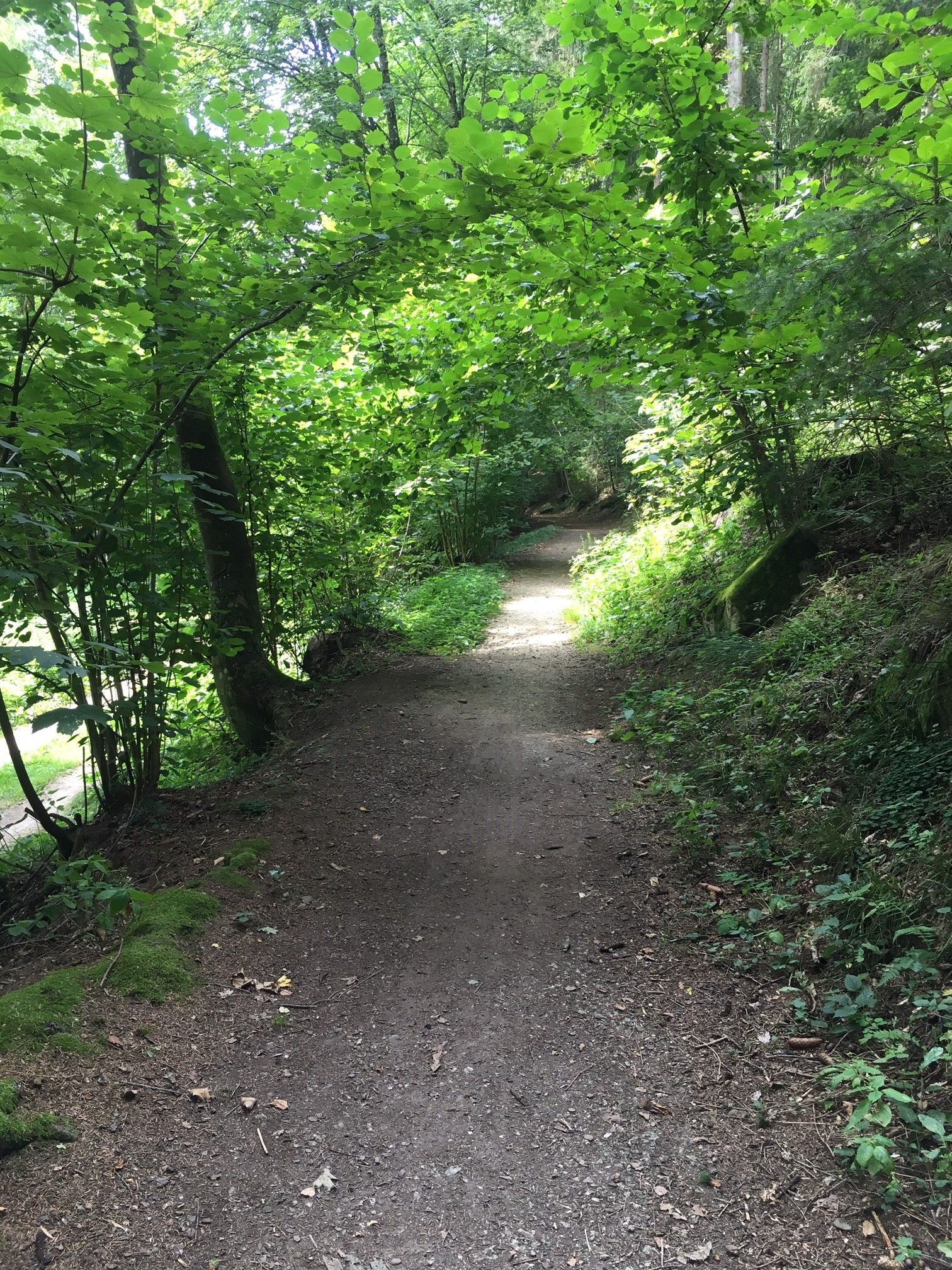 Wanderweg 31, Weitra