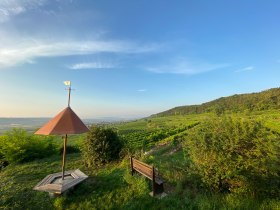 Herrliche Aussichten vom Parapluiberg, &copy; Walter Pernikl