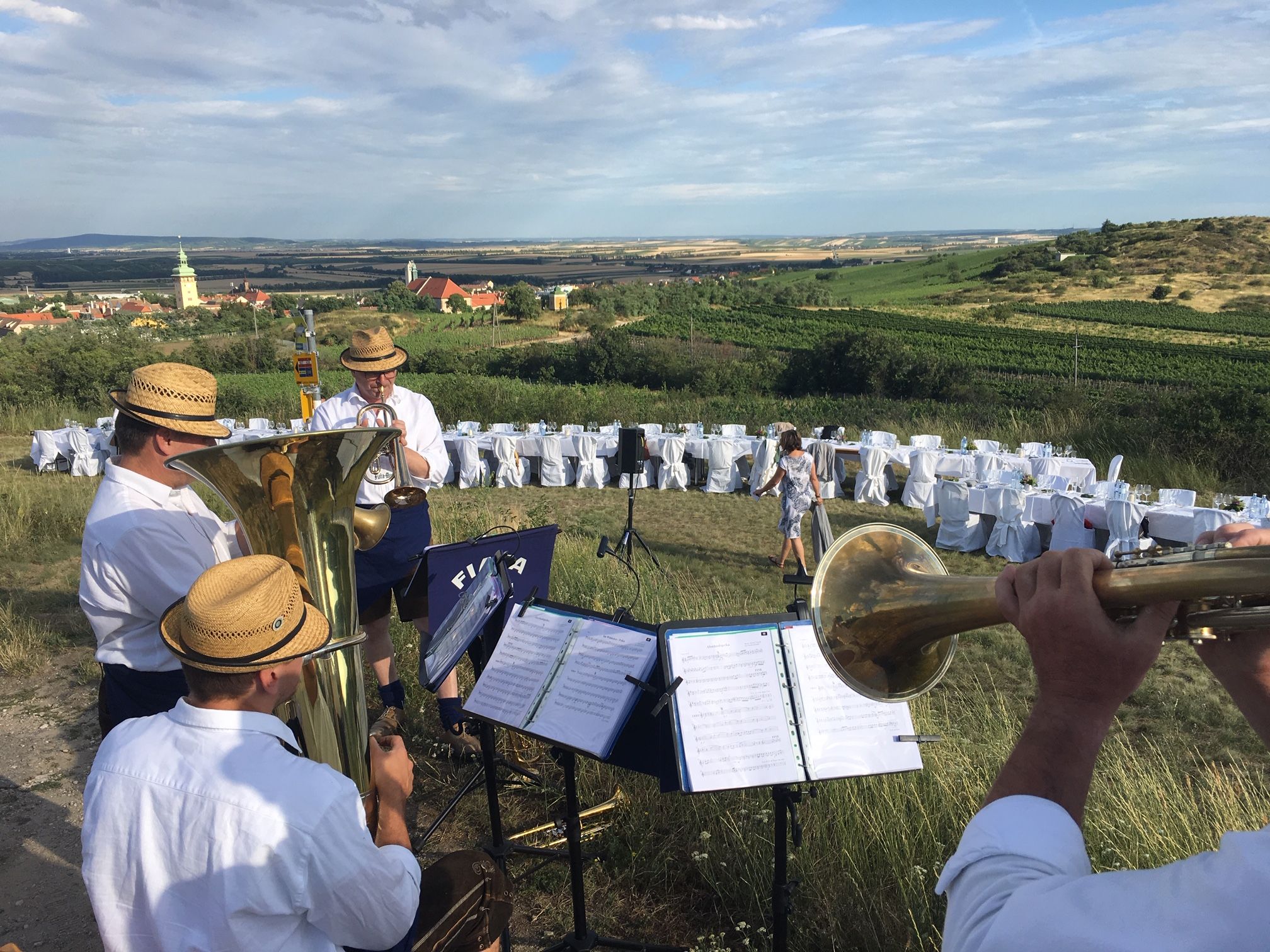 Blasmusikgruppe spielt im Freien mit Blick auf Weinberge und gedeckte Tische.