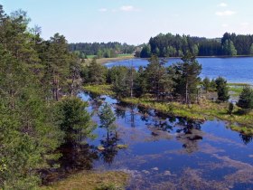 Winklauerteich im Naturpark Heidenreichsteiner Moor, &copy; Horst Dolak