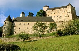 Burg Rappottenstein in &Ouml;sterreich, umgeben von B&auml;umen und Wiesen.