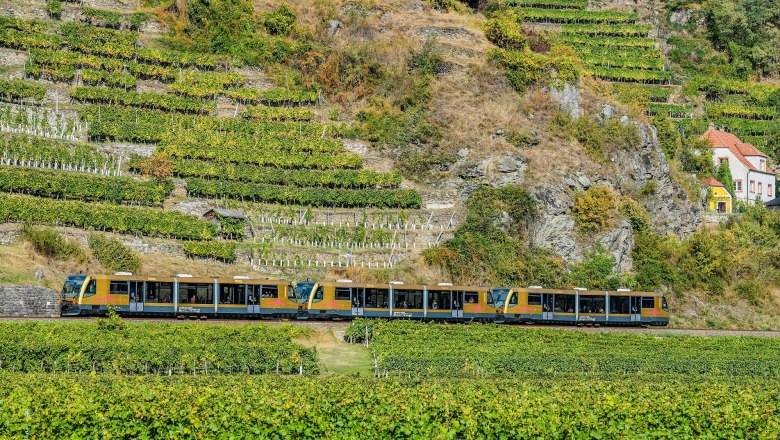 Ein Zug der Wachaubahn fährt durch eine malerische Weinberglandschaft mit terrassierten Reben und einem kleinen Haus im Hintergrund.