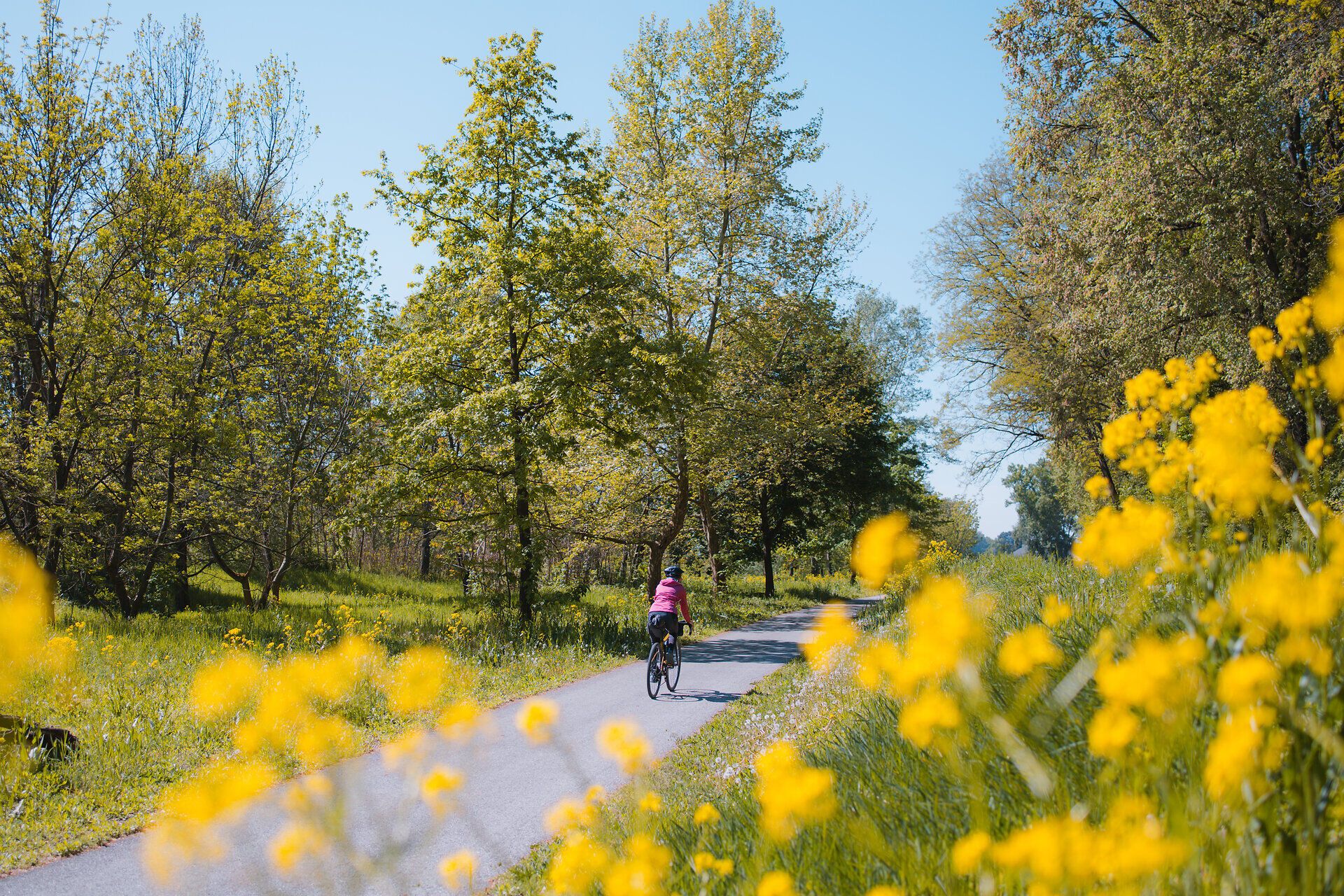 Ein sonniger Tag lädt zum Radfahren ein, während die bunten Blumen am Wegesrand in voller Blüte stehen. Die sanften Hügel und die frische Luft schaffen eine perfekte Kulisse für ein unvergessliches Abenteuer in der Natur.