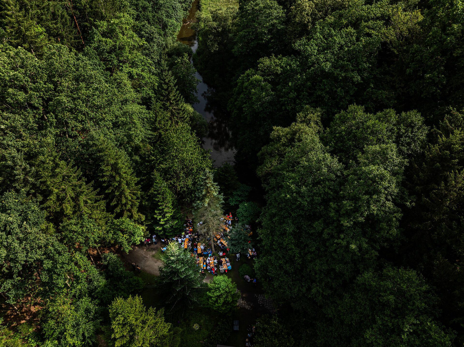 Umgeben von üppigem Grün und dem sanften Plätschern eines Baches, entfaltet sich hier eine harmonische Atmosphäre, die zum Verweilen einlädt. Das Schrammel.Klang.Festival bringt Musik und Kultur in diese idyllische Waldlandschaft, wo die Klänge der Natur mit den Melodien der Künstler verschmelzen.