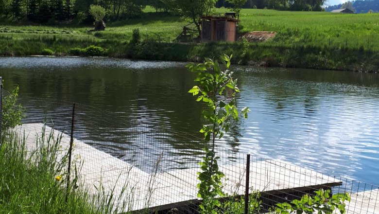 Teich mit Zeltplatz, &copy; Rosina Steinbrunner