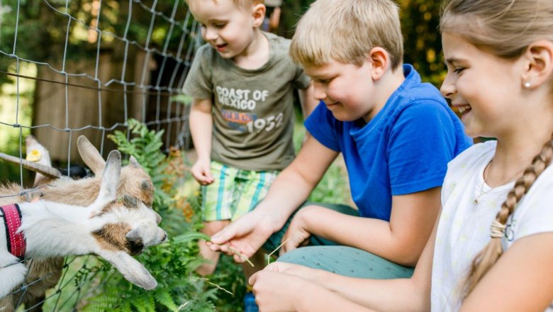 Urlaub am Zwergerlhof, &copy; schwarz-koenig.at