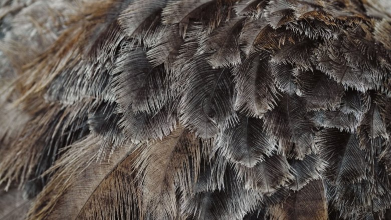 Strau&szlig;enhof Ebner, &copy; Moststra&szlig;e, dochbodnliacht