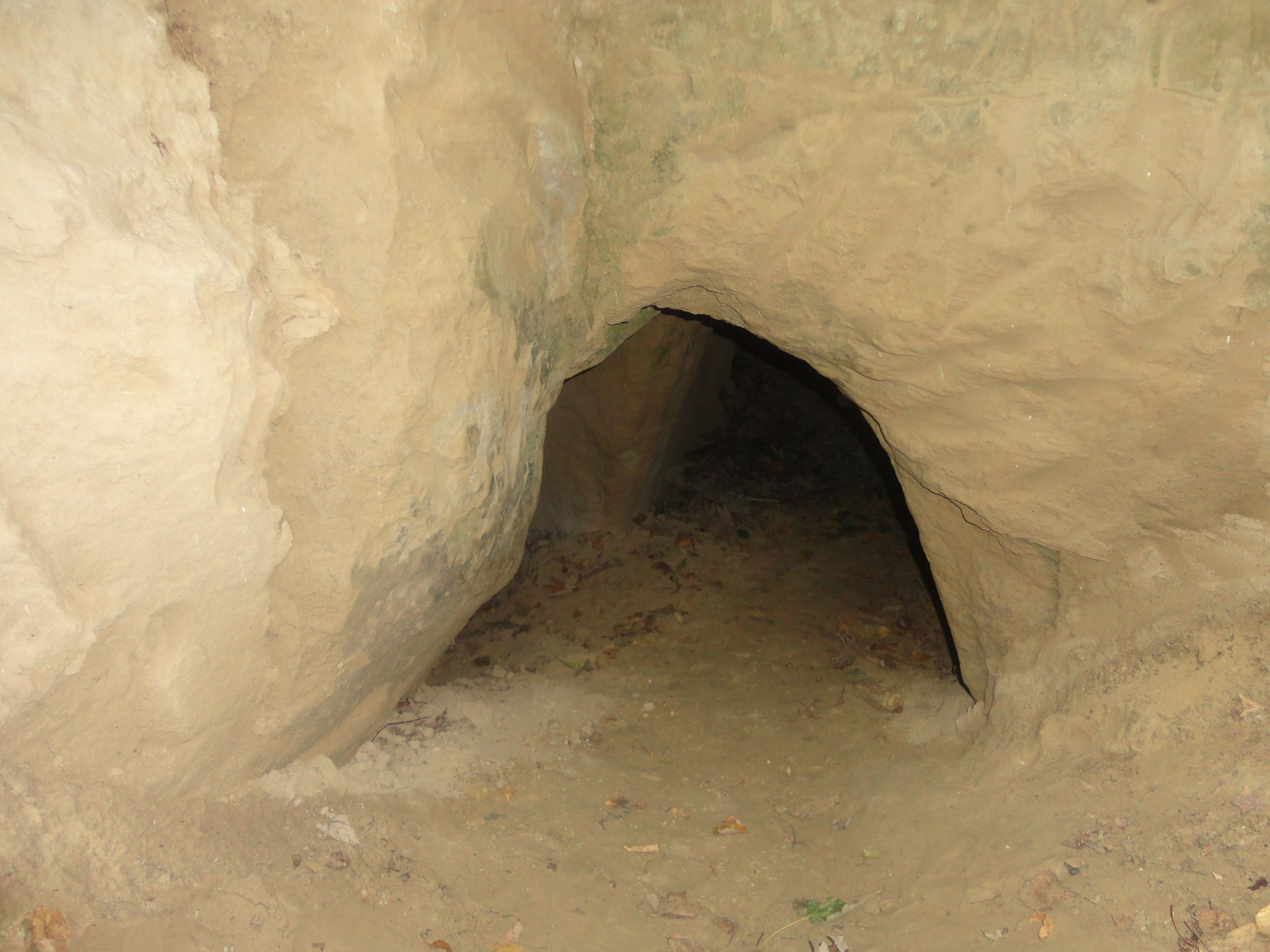 Ein kleiner, erdiger Höhleneingang in einer sandigen Felswand.