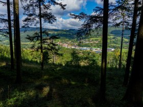 Im Wald - Blick auf W&uuml;rnsdorf, &copy; Gottfried Grossinger