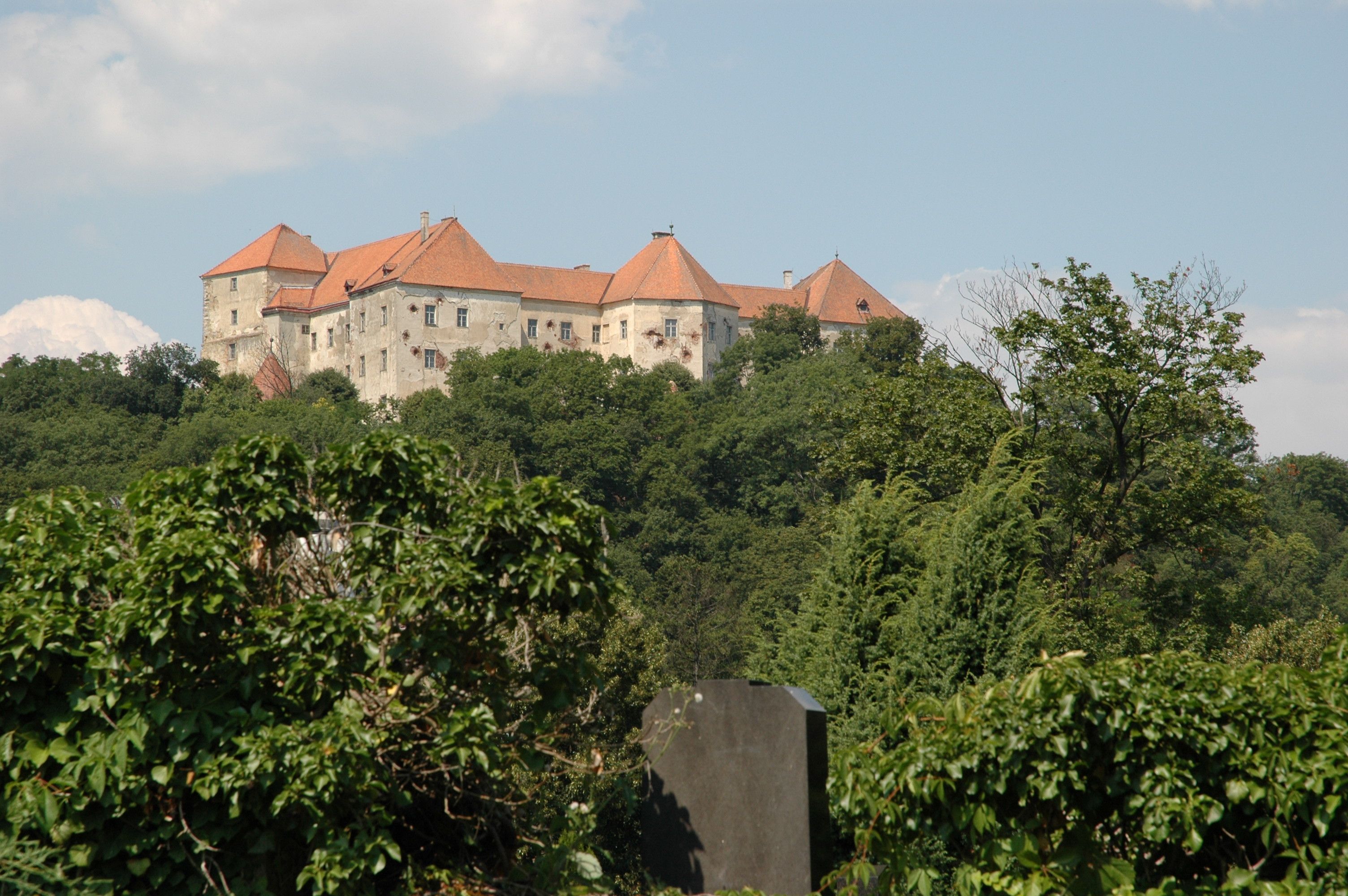 Burg Neulengbach auf einem bewaldeten Hügel mit roten Dächern, umgeben von Bäumen und blauem Himmel.