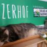 Eine Katze liegt auf einem Regal vor einem Schild mit der Aufschrift 'Winzerhof' und 'Urlaub am Bauernhof'.