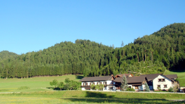 Die ruhige Lage am Waldrand, © Thürlahshof Die ruhige Lage am Waldrand, © Thürlahshof