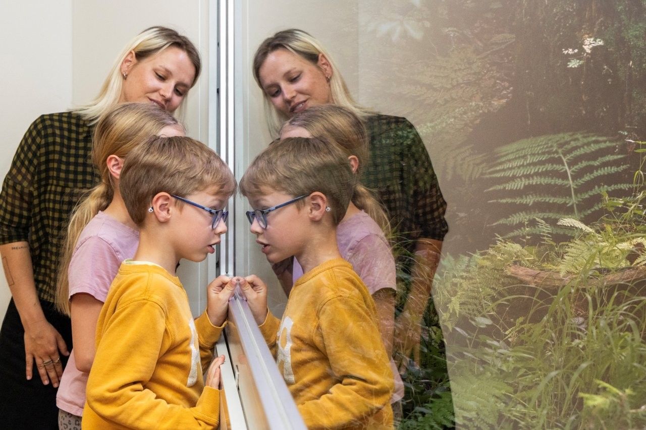 Haus der Wildnis