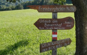 Wegweiser zur Freinbergh&ouml;hle und anderen Zielen auf einer Wiese.