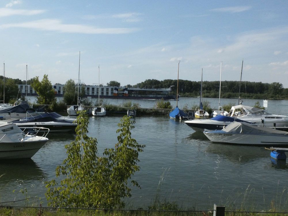 Boote im Hafen des Yachtclubs Muckendorf an einem sonnigen Tag.