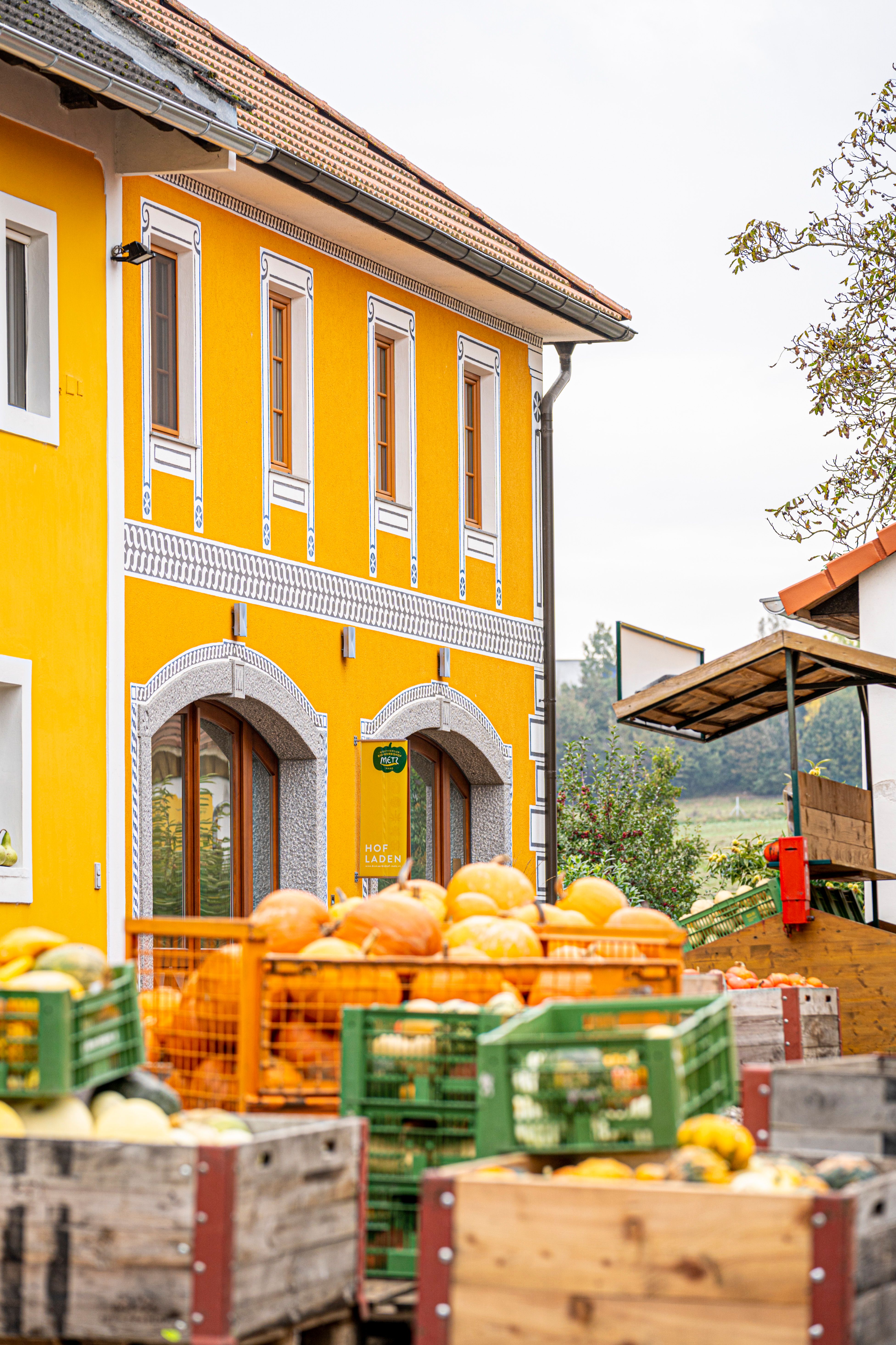 Bunte Kürbisse vor einem gelben Gebäude mit dekorativen Fensterrahmen.