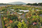 Gartenkunst in Schloss Hof