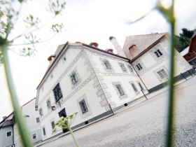 kein text, &copy; Nieder&ouml;sterreich