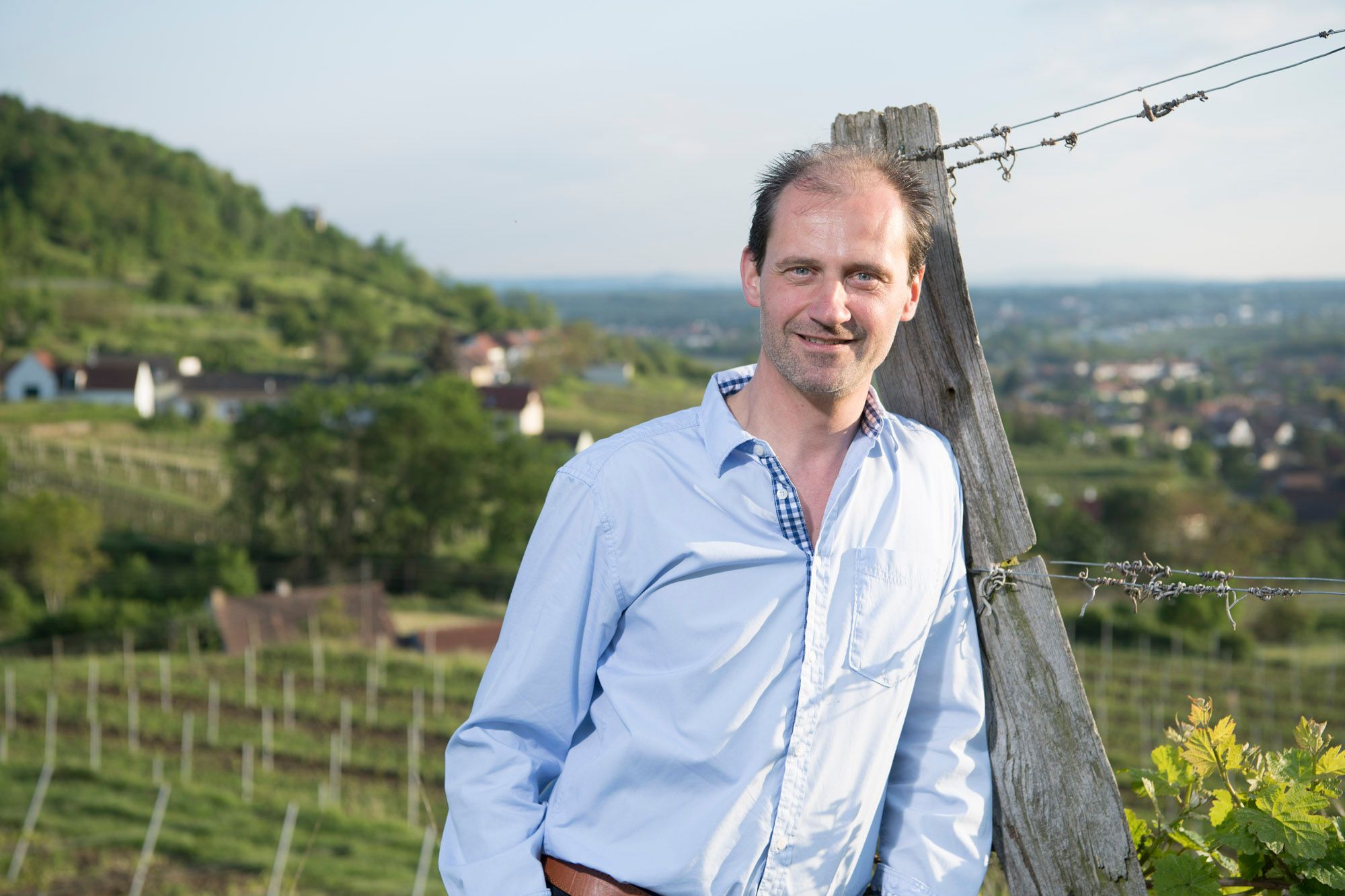 Weingut Brandl