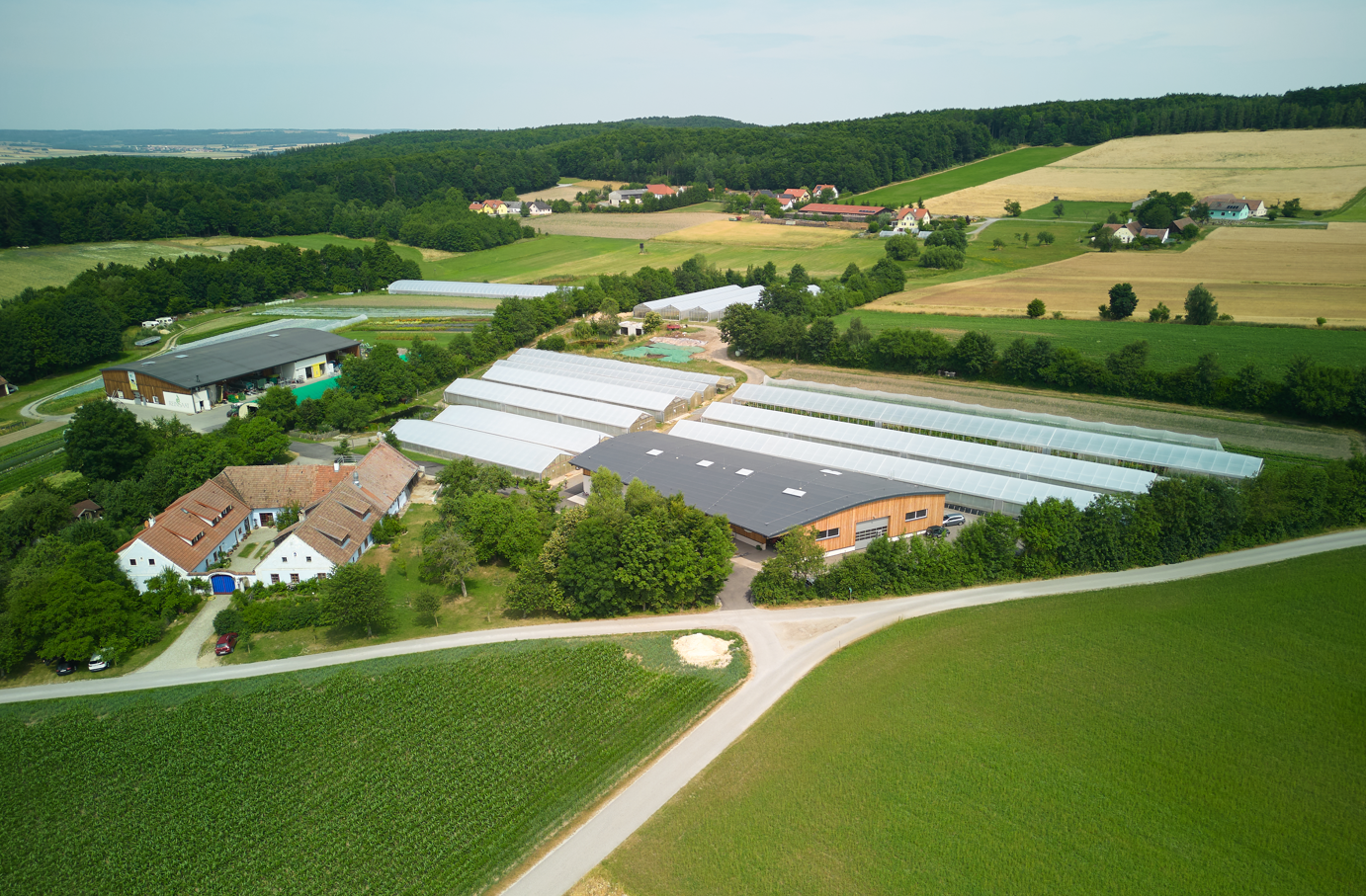 ReinSaat Luftbild