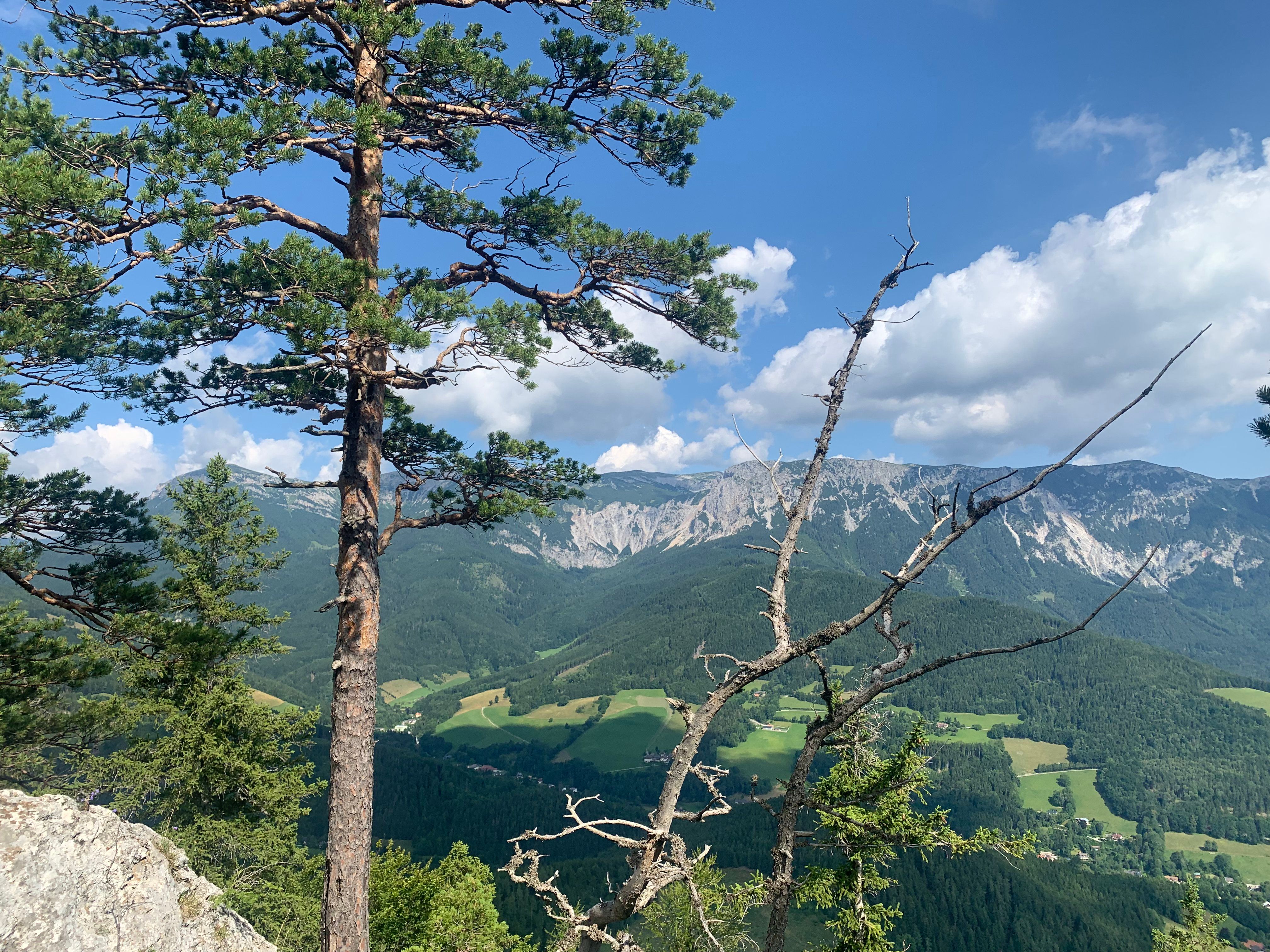 Blick auf die Rax von der Luckerten Wand aus. 