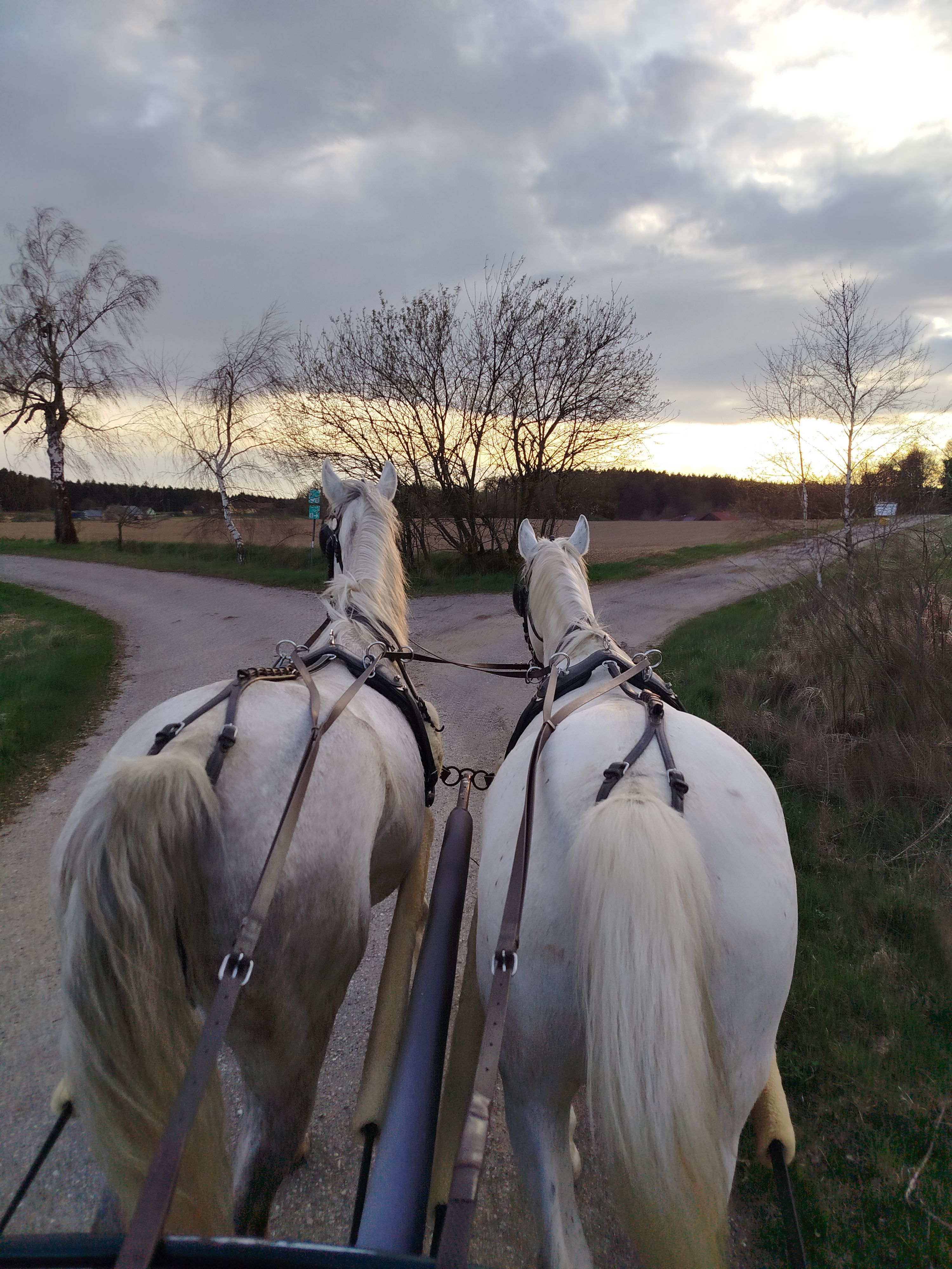 Kutsche bei den Linden 