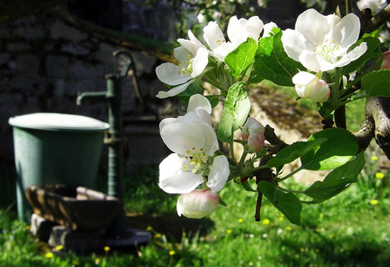 garten-2_1