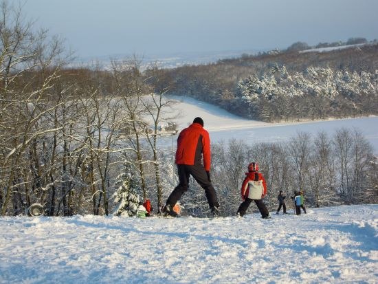 Menschen beim Skifahren auf einem schneebedeckten H&uuml;gel mit B&auml;umen im Hintergrund.
