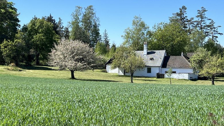 IMG_9531, © Katrin Karall-Semler IMG_9531, © Katrin Karall-Semler